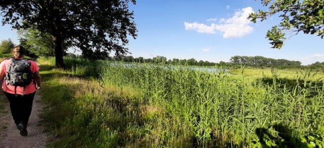 maas-en-viltmars