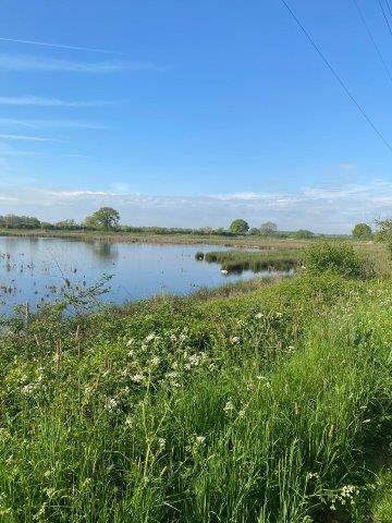 meidoornbloesemtocht