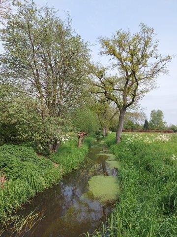 meidoornbloesemtocht