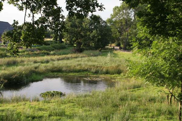meidoornbloesemtocht