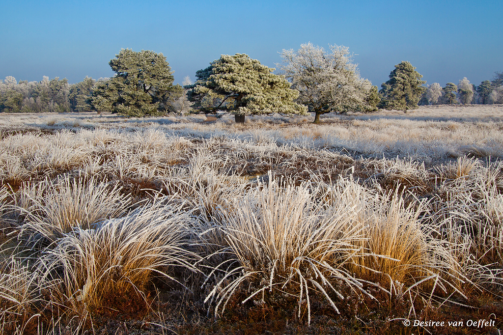 wintertinteltenentocht
