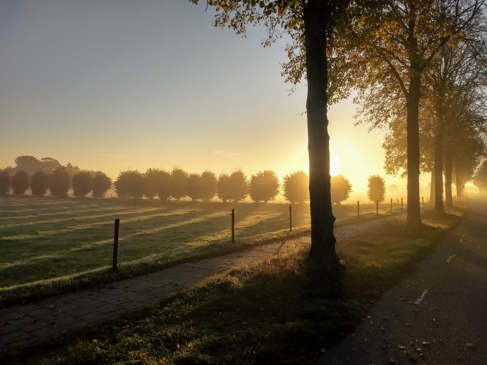 herfstiezwerftietocht